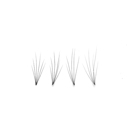 Pandora Pre-made 6D Fans Volume Lashes 0.05 Thickness